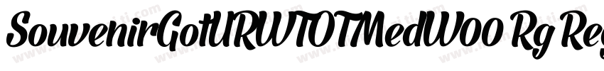 SouvenirGotURWTOTMedW00 Rg Regular字体转换